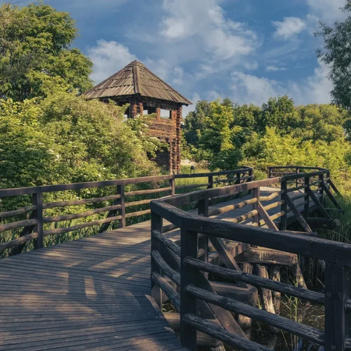 Rezerwat Archeologiczny w Kaliszu-Zawodziu – oferta lekcyjna